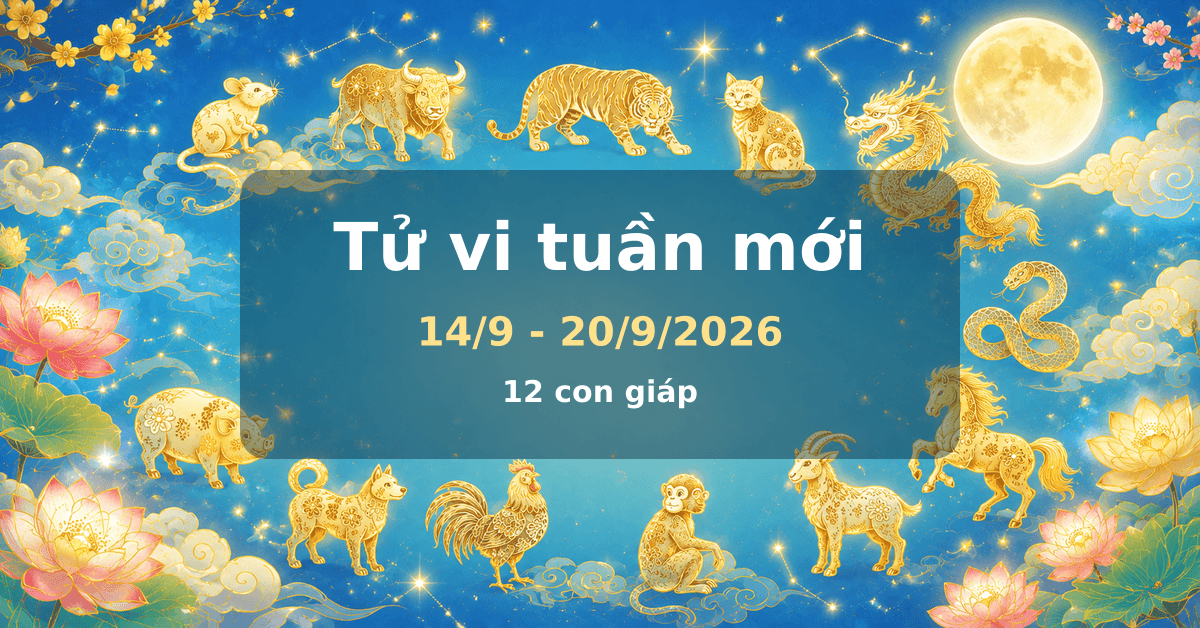 Tử vi tuần mới 14/9 - 20/9/2026 - tử vi hàng tuần 12 con giáp